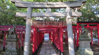 ⛩️ 미노와 이나리 신사